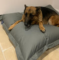 Dog lying on a large gray dog bed indoors.